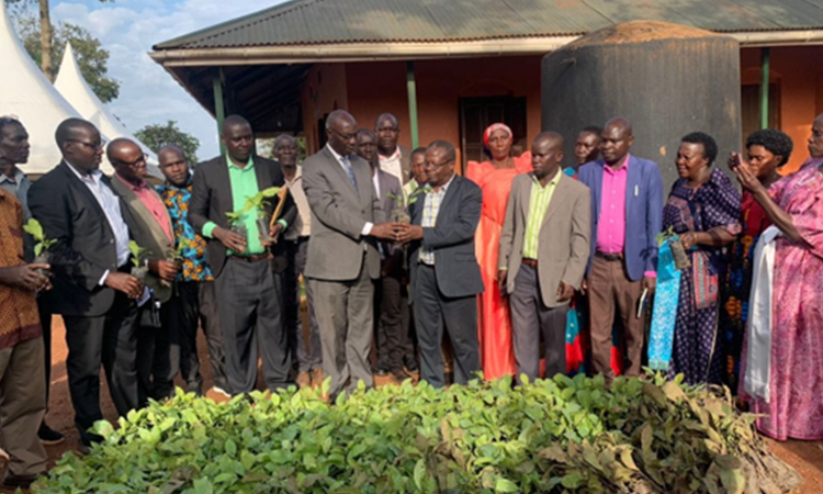 Hon. Hajji Amisi Kakomo, handing over coffee seeds. Image