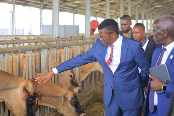 The Katikkiro visiting the Namulonge livestock ranch The Katikkiro visiting the Namulonge livestock ranch