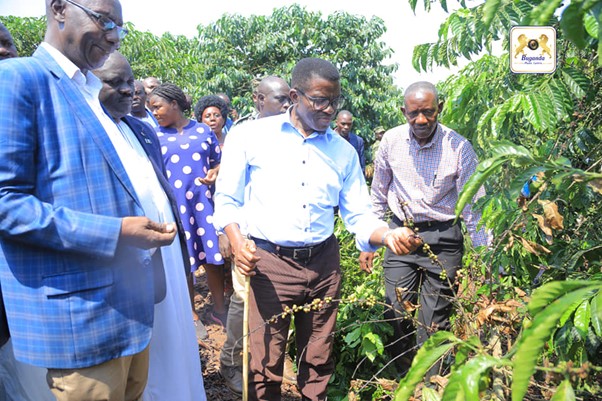 Hon Amis Kakomo and the Chief Minister were visiting the farmers Hon Amis Kakomo and the Chief Minister were visiting the farmers