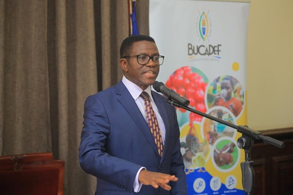 The prime minister addressing the new BUCADEF board members. Image