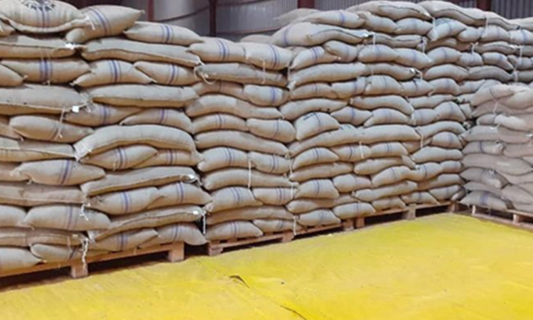 Processed coffee ready for export to Russia. Image
